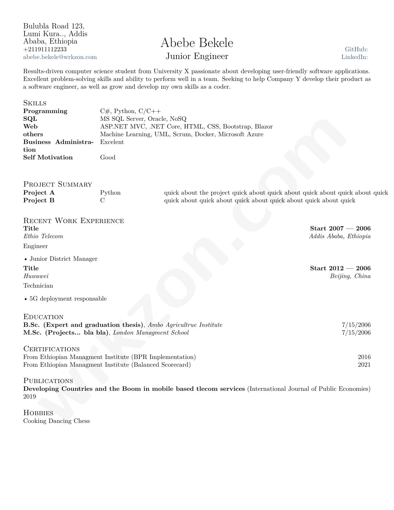 Freelancer Template